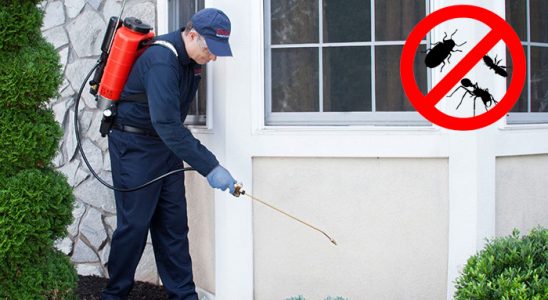 Harmandalı Gümüşkurt İlaçlama böcek ilaçlama ve haşere kontrolü — ilaclama-tr.com
